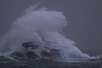 Huge wave enveloping fishing vessel "Harvester" while operating in the North Sea. Europe, November 2010. Property released.