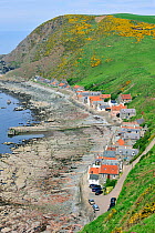 Crovie, a small village on a narrow ledge along the sea made up of a single row of houses, Aberdeenshire, Highlands, Scotland, UK, May 2010