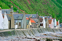 Crovie, a small village on a narrow ledge along the sea made up of a single row of houses, Aberdeenshire, Scotland, UK, May 2010