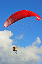 Paraglider with red wing / canopy against blue sky, Brittany, France, September 2010