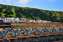 Lobster traps / cages at Pennan, a small coastal village in Aberdeenshire, Highlands, Scotland, UK, May 2010