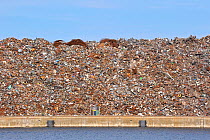 Scrap metal heap along the Ghent-Terneuzen Canal at Ghent seaport, Belgium, August 2010