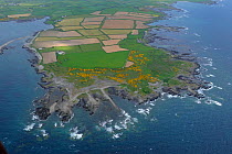Aerial view of the Ballyquintin Point, Ards peninsula, County Down, Northern Ireland, UK, May 2008