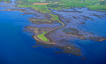 Aerial view of Gransha Point, Strangford Lough, County Down, Northern Ireland, UK, September 2008