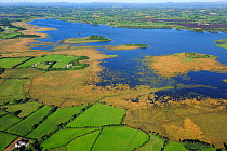 Aerial view of Lough Beg, east of Castledawson, County Antrim, Northern Ireland, UK, September 2009