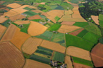 Aerial view of agricultural farmland, south of Newtownards, County Down, Northern Ireland, UK, September 2009