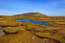 Aerial view of Peat hags, blanket bog looking towards Slieve Muck, Derryveagh Mountains, County Donegal, Republic of Ireland, September 2009
