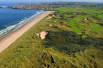 Aerial view of sand dunes at Portstewart, north coast, County Antrim, Northern Ireland, UK, September 2009