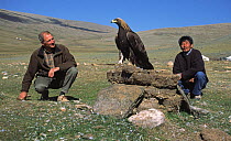 Photographer Eric Dragesci with captive juvenile Golden Eagle (Aquila chrysaetos) and Kazakh nomad handler, Altai, Mongolia
