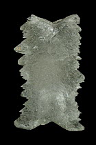 Selenite (CaSO4-2H2O) (Hydrous calcium sulphate) a form of Gypsum, from Mexico, formed in evaporite deposits