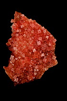 Halite (NaCl / Sodium chloride / Salt) crystals, from Searles lake, California, USA, An ore of salt used for human consumption