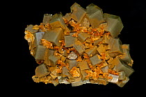 Fluorite (CaF2 / calcium fluoride) crystals, from China, Fluorite is a source of fluorine used in the manufacture of milk glass, as a flux for the steel industry and in refining aluminum.