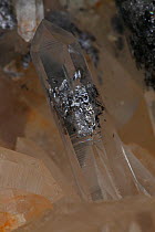 Quartz (SiO2 / silicon dioxide) The most common mineral on earth, used in making glass, galena inclusions rare