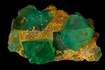 Fluorite crystals  (CaF2 / Calcium fluoride)  from Riemvasmaak, Northern Cape, South Africa. A source of fluorine, used in the manufacture of milk glass, as a flux for the steel industry and in refini...