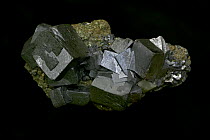 Galena crysatls (PbS / lead sulphide) primary ore of lead, from Sweetwater mine, Viburnum trend, Missouri, USA