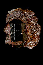 Rutile crystal [TiO2 / Titanium oxide] from Graves Mountain, Georgia, USA. An ore of titanium and purified titanium oxide