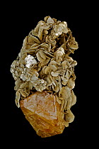 Scheelite crystal [CaWO4] (below) on Muscovite, from China. Scheelite is calcium tungstate usually with some of the tunsten replaced by molybdenum, it is fluorescent and an important ore of tungsten,...