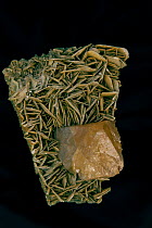 ScScheelite crystal [CaWO4] (below) on Muscovite, from China. Scheelite is calcium tungstate usually with some of the tunsten replaced by molybdenum, it is fluorescent and an important ore of tungsten...