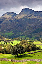 Harrison Stickle and Great Langdale Valley. Lake District, Cumbria, England. September 2010.