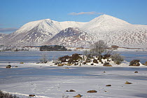 Loch na h' Achlaise frozen over with Black Mount in the distance. Rannoch Moor, Scotland, March 2010.