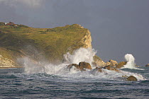 St Oswald's Bay pounded by storm waves. Between Durdle Door and Lulworth Cove, Dorset, UK, September 2009.
