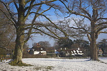 Swan Green in winter snow. New Forest, Hampshire, UK, January 2010.