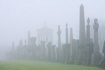 Gravestones in mist. Glasgow, Scotland, January 2009.