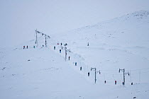 A line of skiers being towed by a lift. Cairngorm ski centre, Scotland, February.