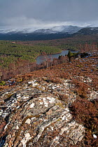 View over Rothiemurchus forest from Ord Ban. The Cairngorms, Scotland, March 2009.