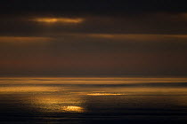 Dramatic light over sea at dusk. Hermaness NNR, Shetland, Scotland, June.