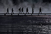 Tourists silhouetted on boardwalk at Midway Geyser Basin. Yellowstone National Park, Wyoming, USA, September.