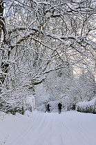 Couple walking and sliding down snow covered country lane on steep hill, Wiltshire, UK, December 2010