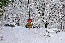 Snow covered country lane, closed to traffic, Wiltshire, UK, December 2010