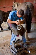 Farrier / Blacksmith hot-shoeing a Horse, UK, September 2007