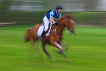 Galloping horse and rider competing in cross country event, Norfolk, UK, April 2009