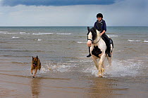 Horse riding with dog on Holkham Beach, Norfolk, UK, August 2008