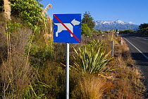 Sign prohibiting dogs from entering a Kiwi conservation area, Tongariro NP, North Island, New Zealand, January 2009