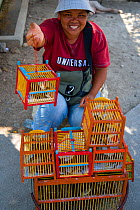 Market trader selling caged wild birds, Thailand, March 2007
