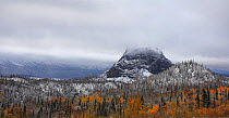 Scenic Views of Alaska. First snow in the end of September, in the mid of the  Glenn Highway (Road 1) following aross up-land from Glennalen to Palmer. Southern ALASKA, USA, September 2009