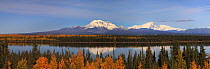 Scenic views of Alaska. A view to Wrangell Mts. from the west, across Lake Willow . Richardson HighWay (Road 4). ALASKA, USA, September 2009