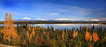 Scenic views of Alaska. A view to Wrangell Mts. from the west, across Lake Willow surrounded by mixed spruce-birch taiga. Richardson HighWay (Road 4). ALASKA, USA, September 2009