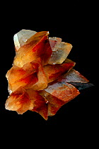Calcite (Calcium carbonate, CaCO3) with haematite inclusions causing red colour. One of the most common and variable minerals on earth, used in building, metallugy, fertilisers and the chemical indust...