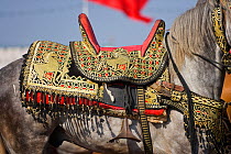 A highly decorated Berber saddle used during the fantasia, in Dar Es Salam, Morocco, June 2006