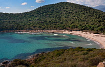 Anse de Fautea bay. Eastern coast of Corsica island, France, February 2010