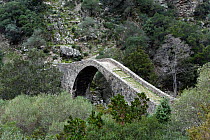 The medieval Genoese bridge of Ponte Vecchiu. The Spelunca Gorges. Porto, Parc Naturel Regional de Corse, Corsica island, France, January 2010