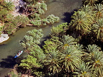 Aerial view of people kayaking on the river Megalos Potamos, between the endemic Cretan palm trees (Phoenix theophrasti) Crete, Greece