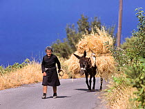 Elderly lady walking down a road, leading her donkey laden with hay,  Island of Crete, Greece.