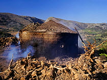 Charcoal production using traditional methods from Olive wood and roots. Psiloritis mountains, Crete, Greece.