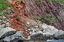 Rugged and colourful coast showing geological strata and erosion. Capraia island, National Park of the Tuscany archipelago, Italy, May 2010