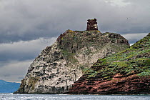 A medieval watch tower. Torre dello Zenobito. Capraia island, National Park of the Tuscany archipelago, Italy, May 2010